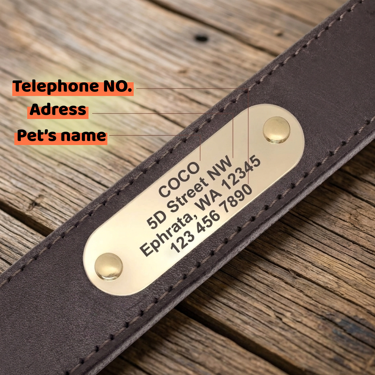 Personalized Leather Dog Collar - Custom Engraved Name Plate